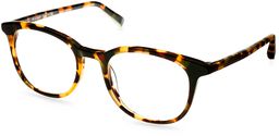 Durand in Woodland Tortoise, thumbnail 1