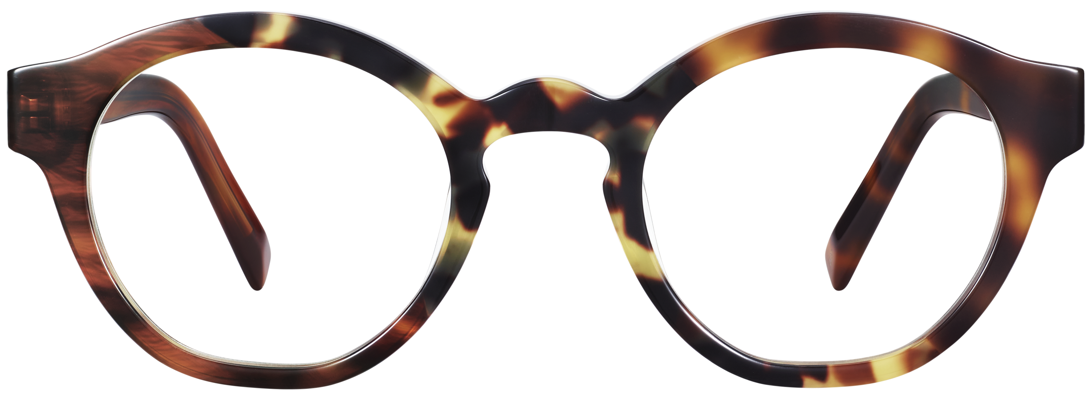 Briony Striped Buckeye, baseTransparent view