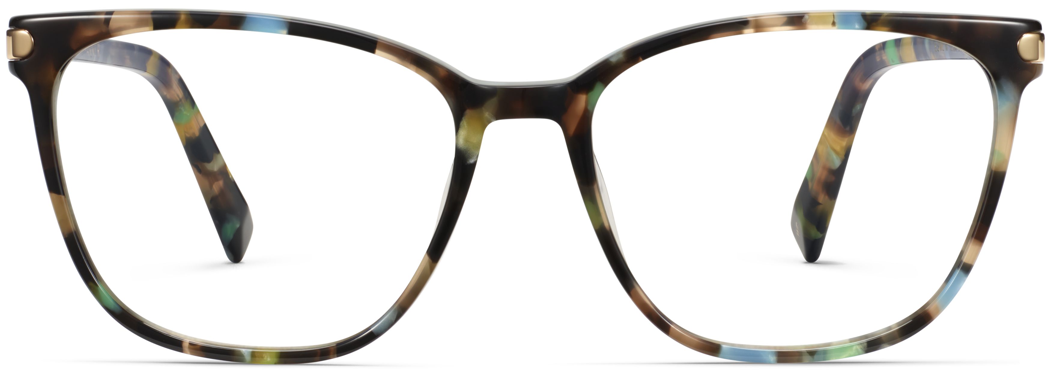 Esme Aventurine Tortoise with Polished Gold, front view