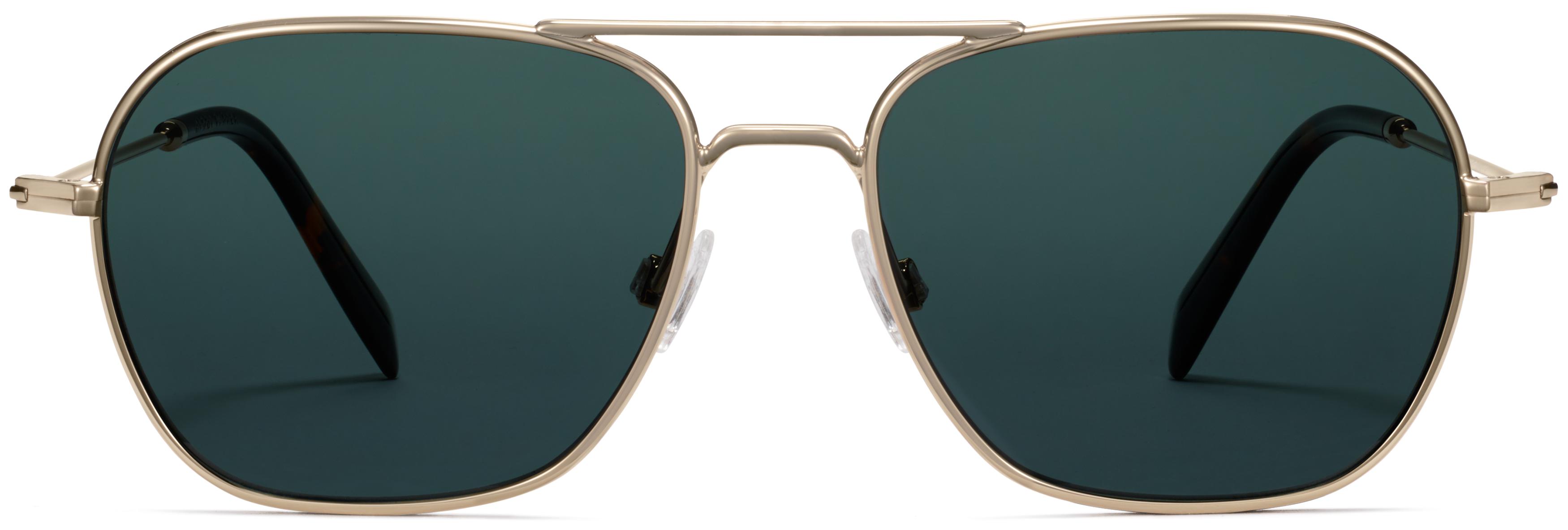 Brimmer Sunglasses in Jet Black with Polished Gold