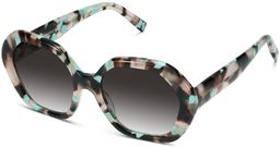 Estrada in Prickly Pear Tortoise, thumbnail 1