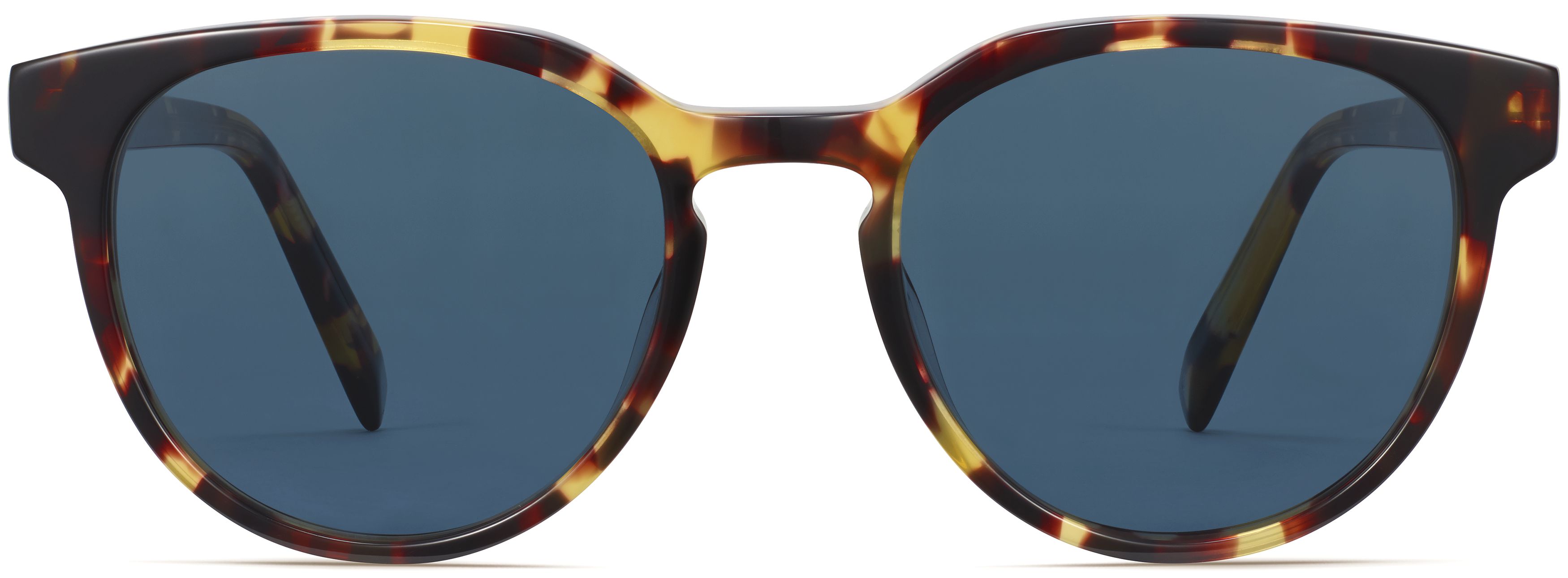 Wright Walnut Tortoise, front view