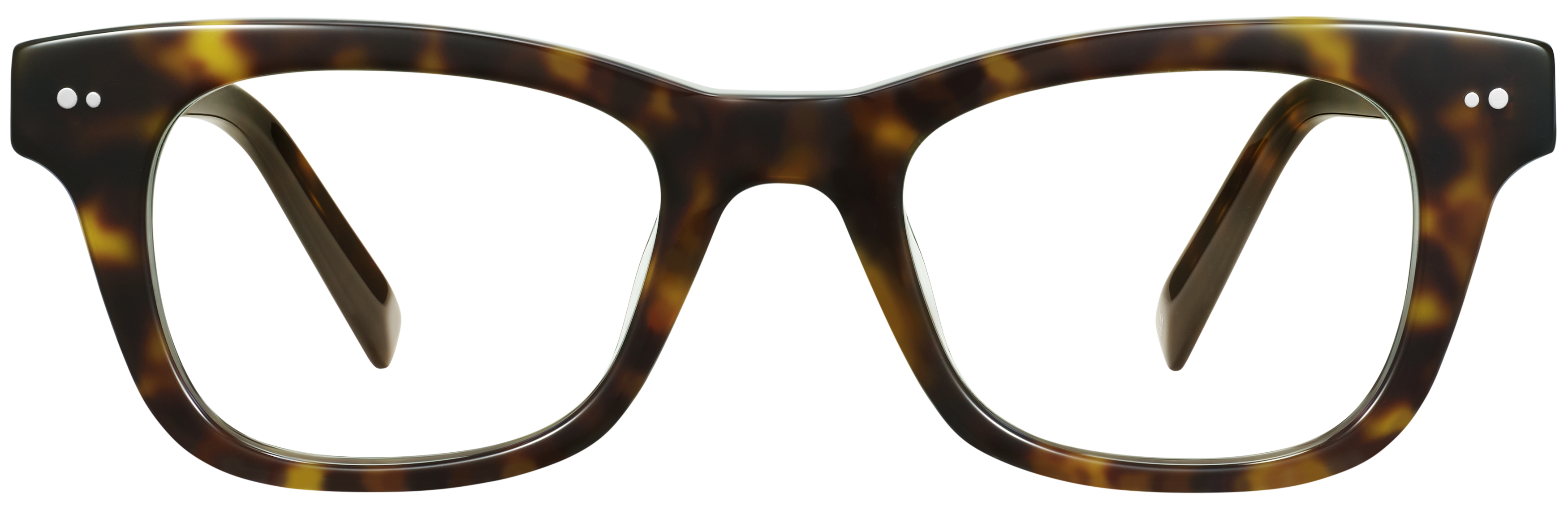 Freddy Ristretto Tortoise, baseTransparent view