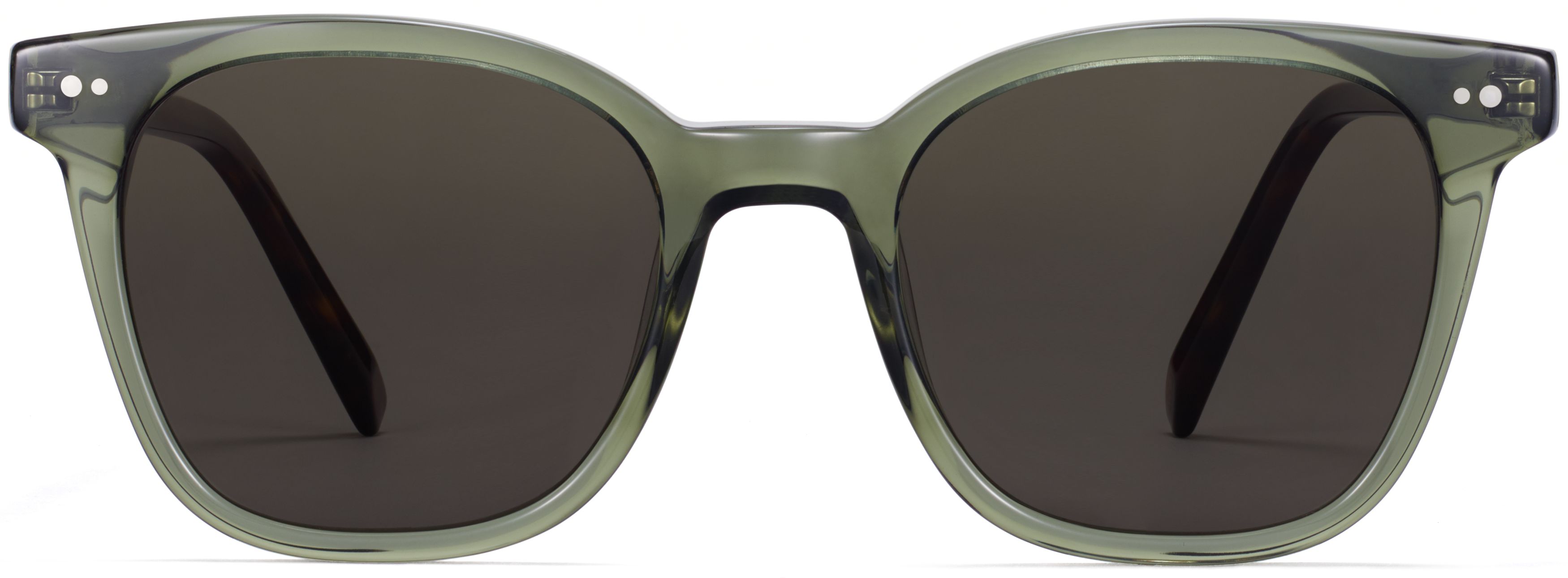 Griffin Seaweed Crystal with Cognac Tortoise, front view