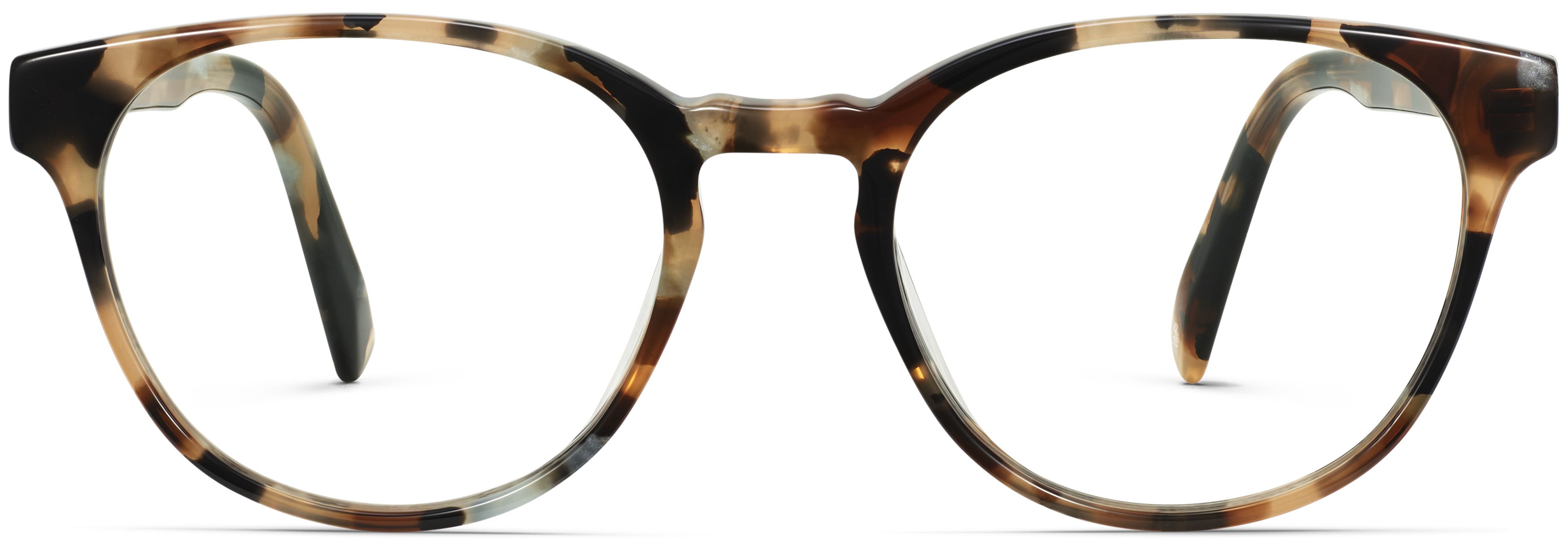Whalen Terrazzo Tortoise, front view