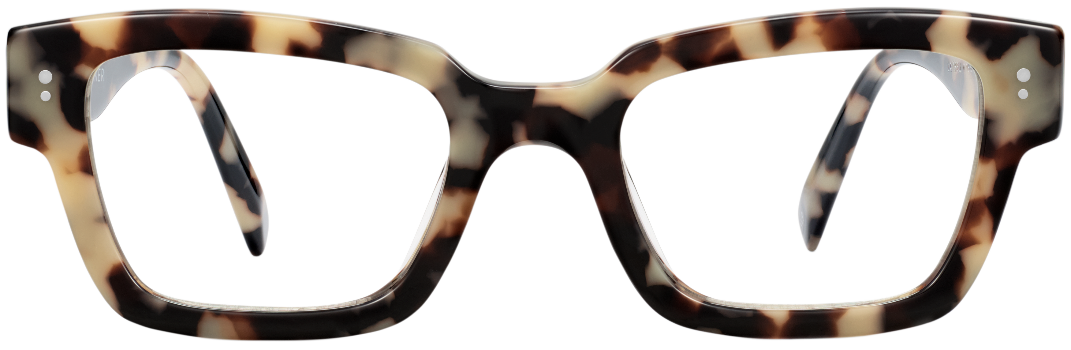Latrell Marzipan Tortoise, baseTransparent view
