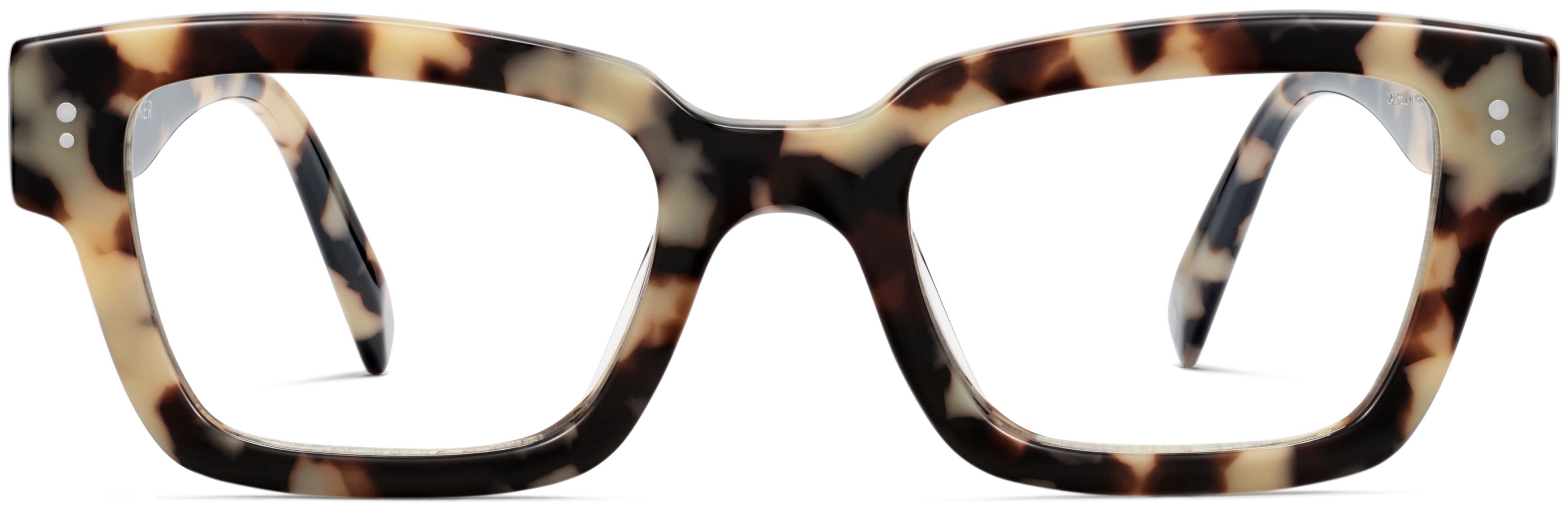 Latrell Marzipan Tortoise, front view