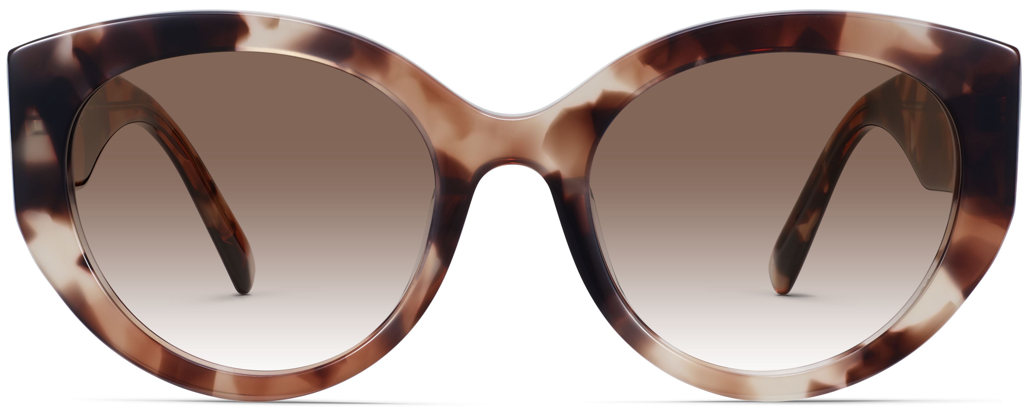 Samira Sesame Tortoise, front view