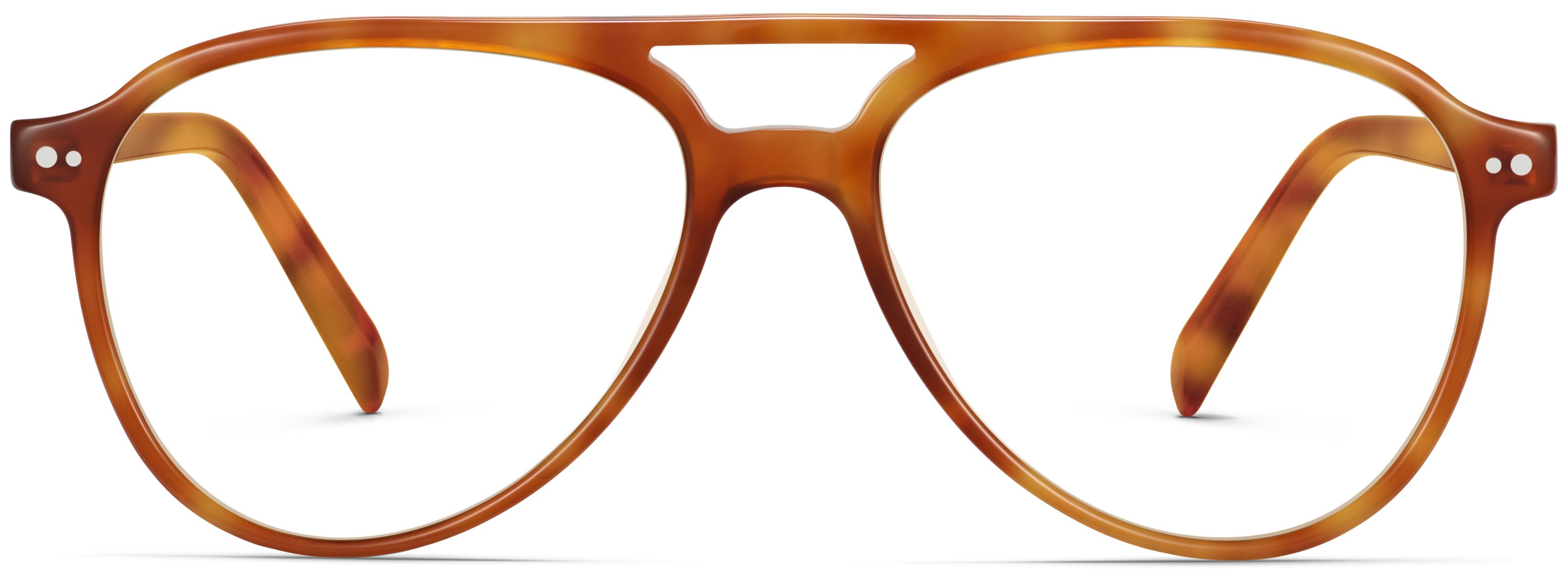 Braden Sequoia Tortoise, front view