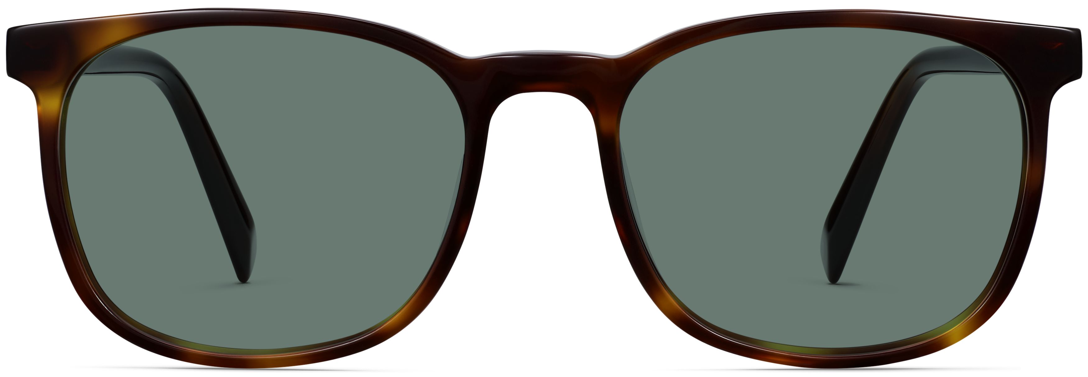 Bodie Rye Tortoise, front view