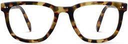 Toni in Cider Tortoise, thumbnail 4