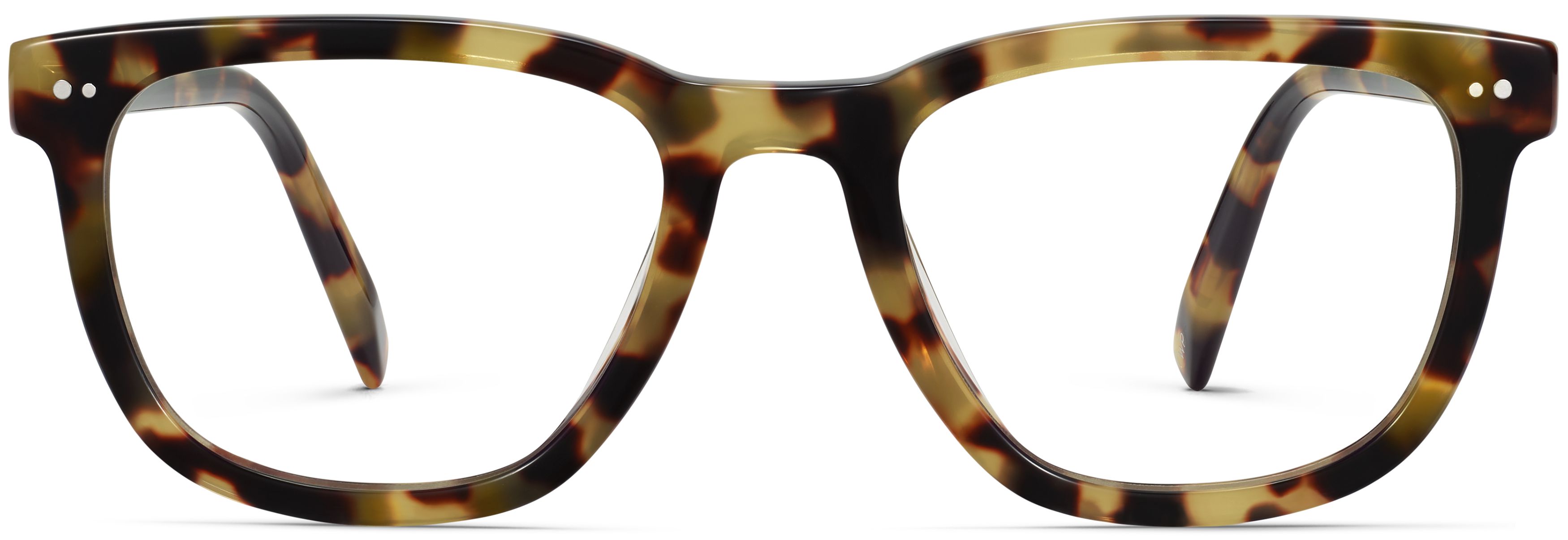Toni Cider Tortoise, front view