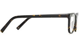 Hector in Whiskey Tortoise, thumbnail 5