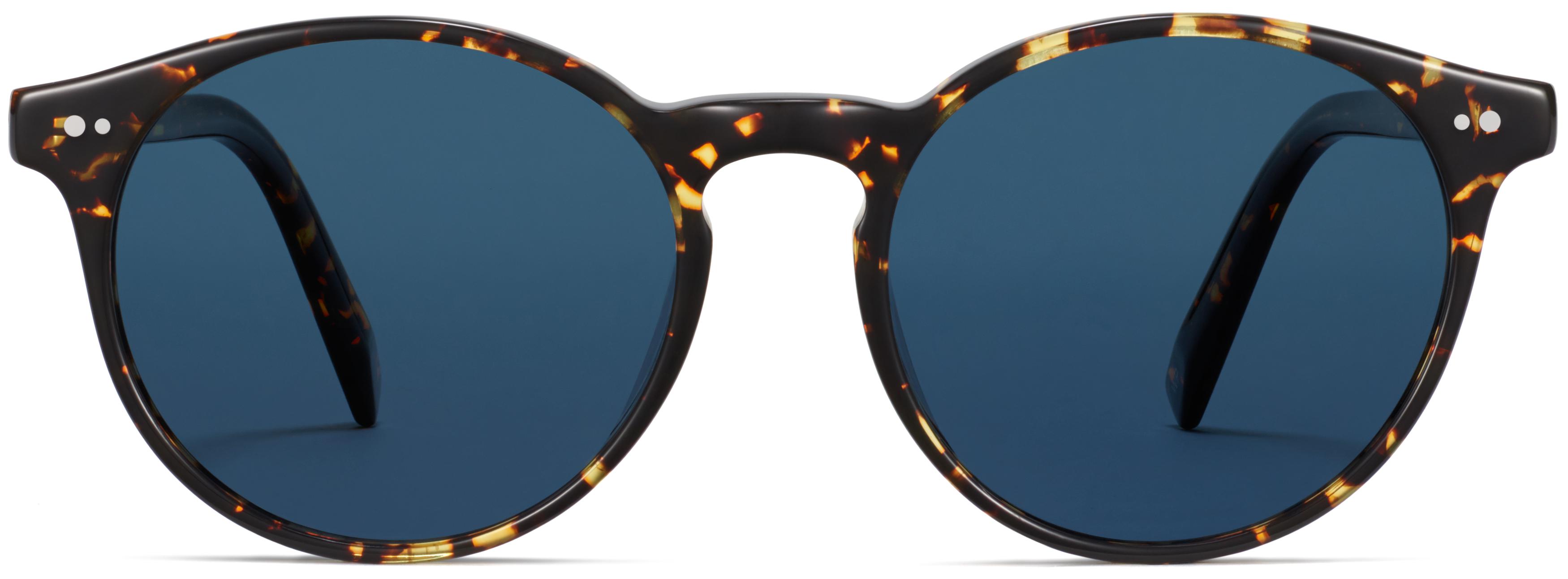 Warby store parker polarized