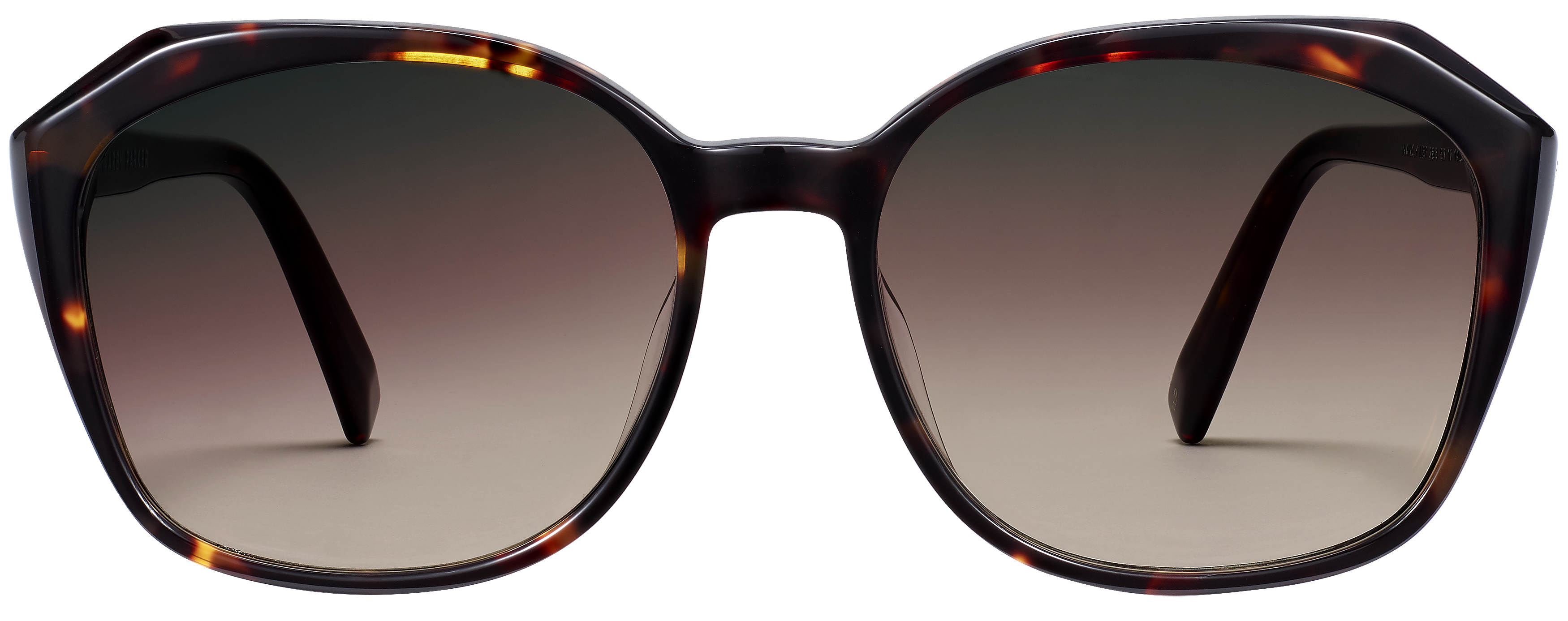 Nancy Cognac Tortoise, baseTransparent view