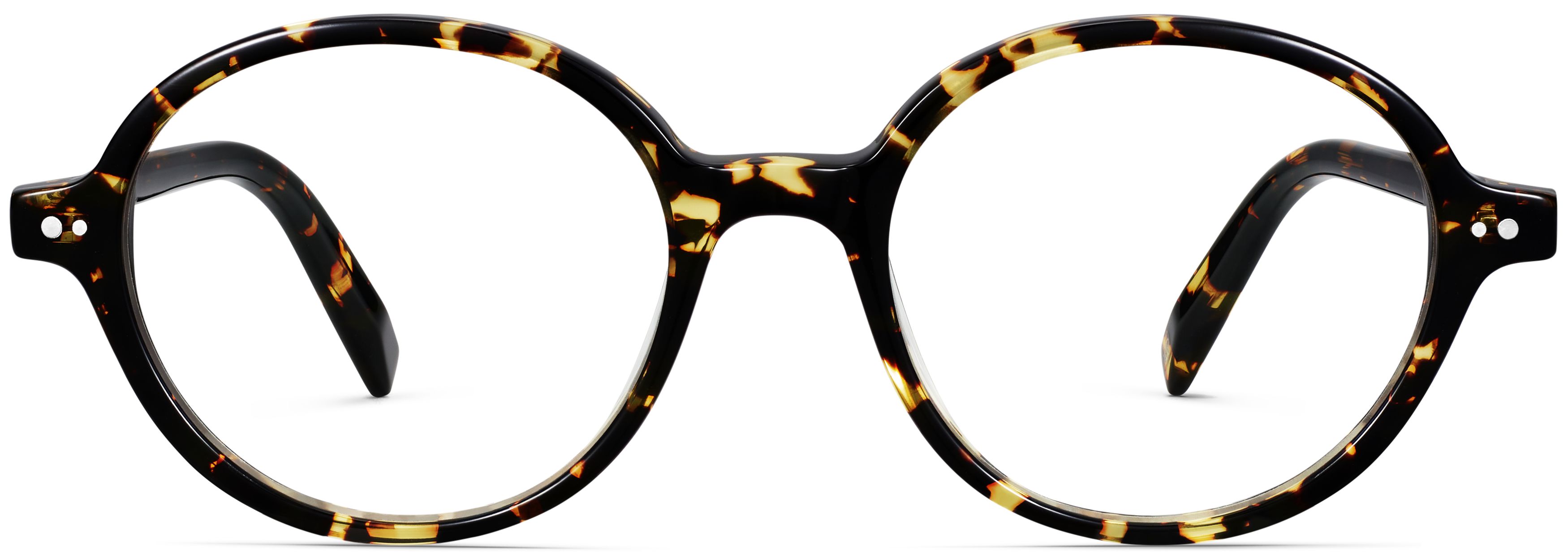 Atticus Black Oak Tortoise, front view