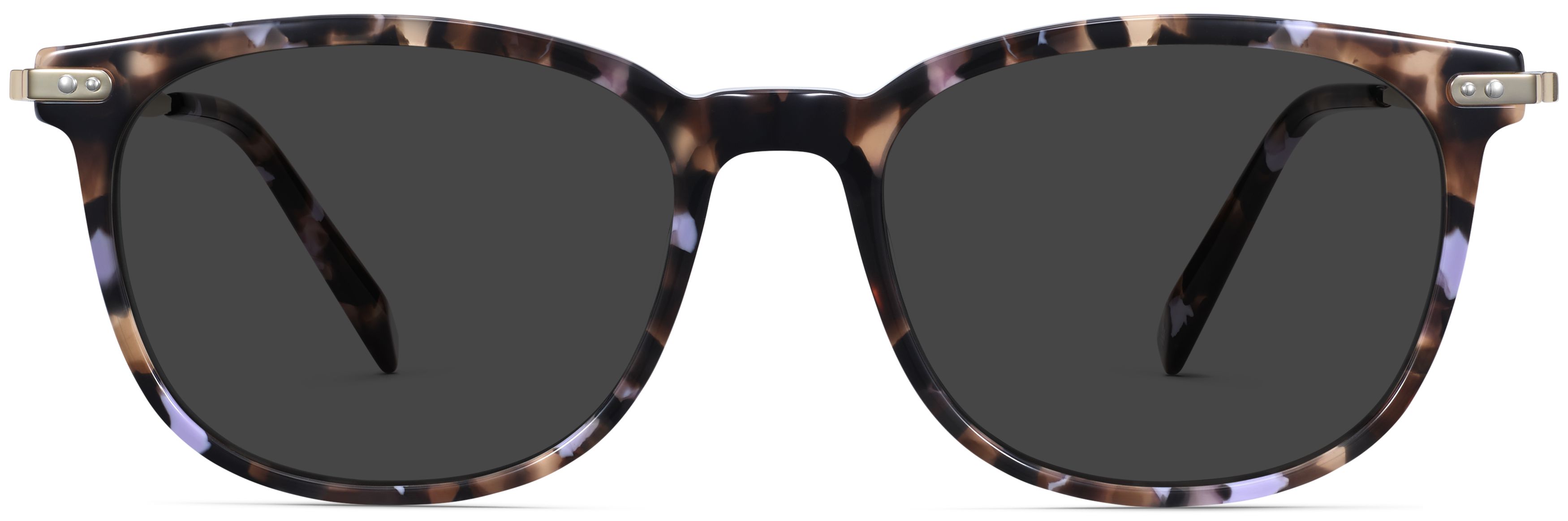 Cicely Lavender Tortoise with Riesling, front view