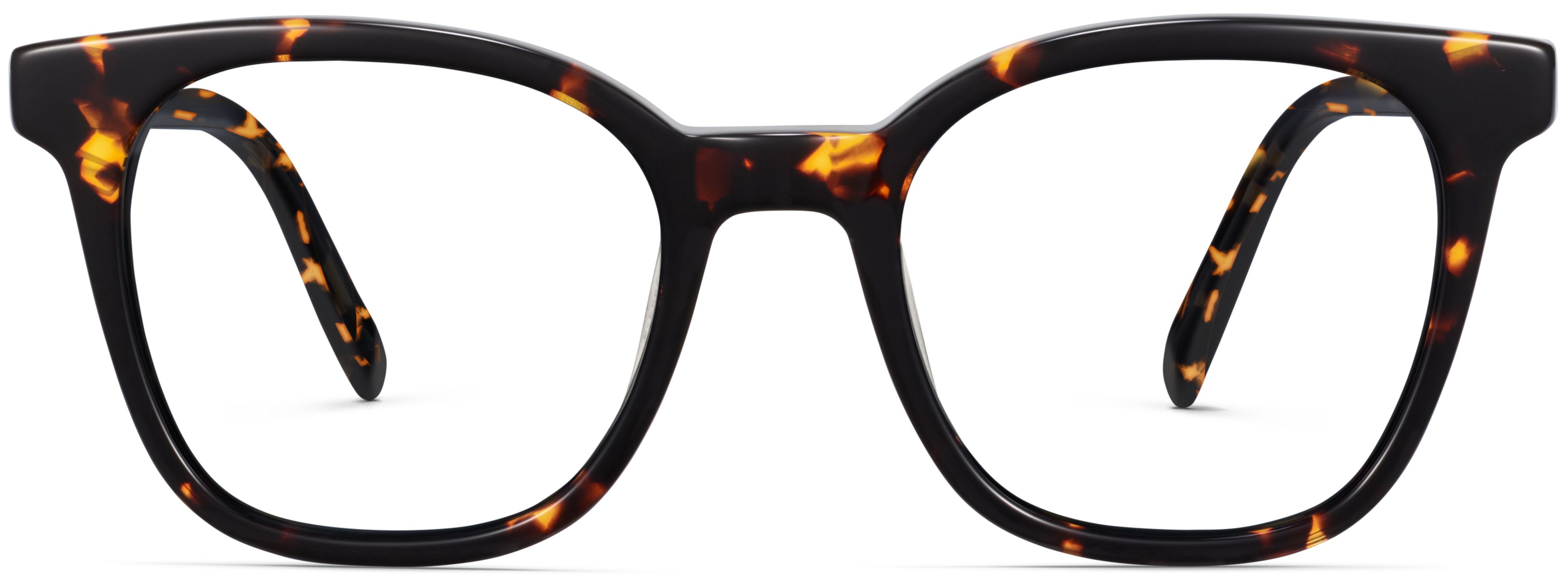 Griffin Burnt Honeycomb Tortoise, front view