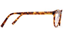 Whalen in Acorn Tortoise, thumbnail 5