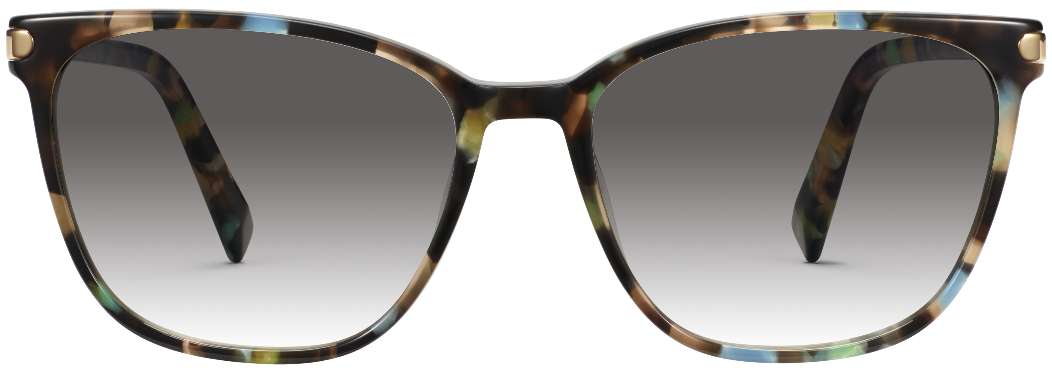 Esme Aventurine Tortoise with Polished Gold, baseTransparent view