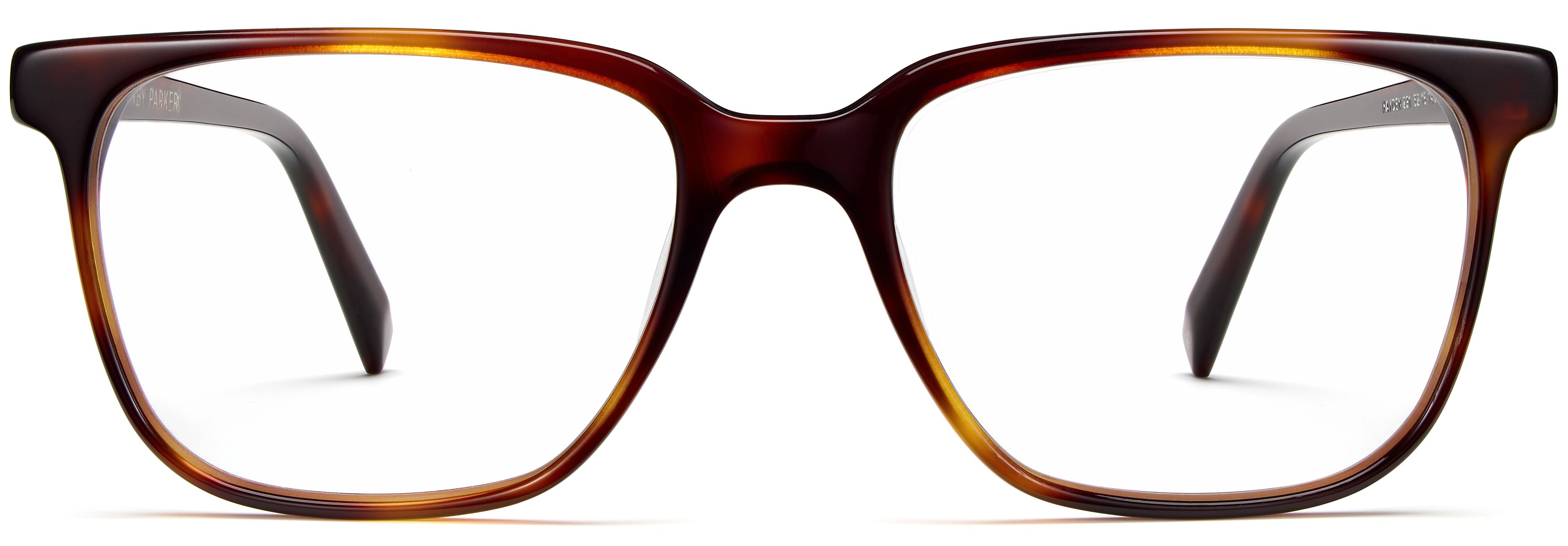 Hayden Rye Tortoise, front view