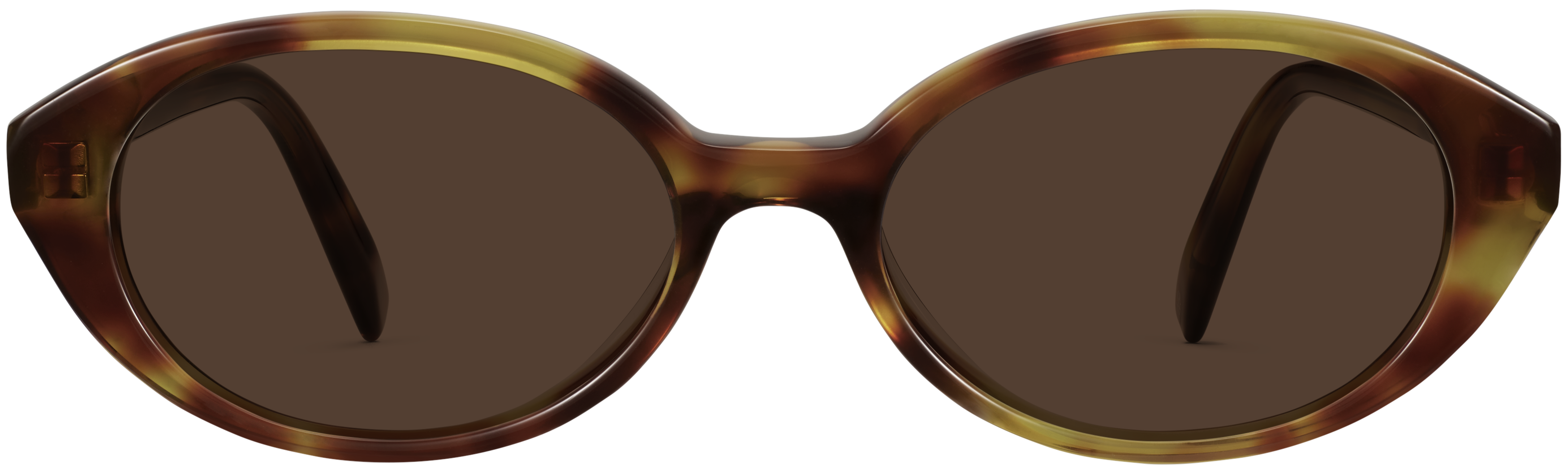 Franny Toffee Tortoise, baseTransparent view