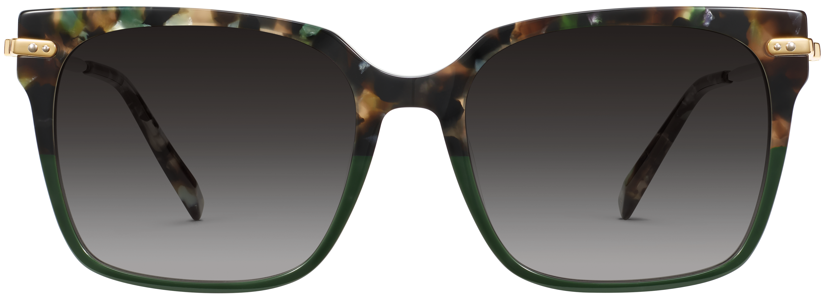 Vela Aventurine Tortoise with Polished Gold, baseTransparent view
