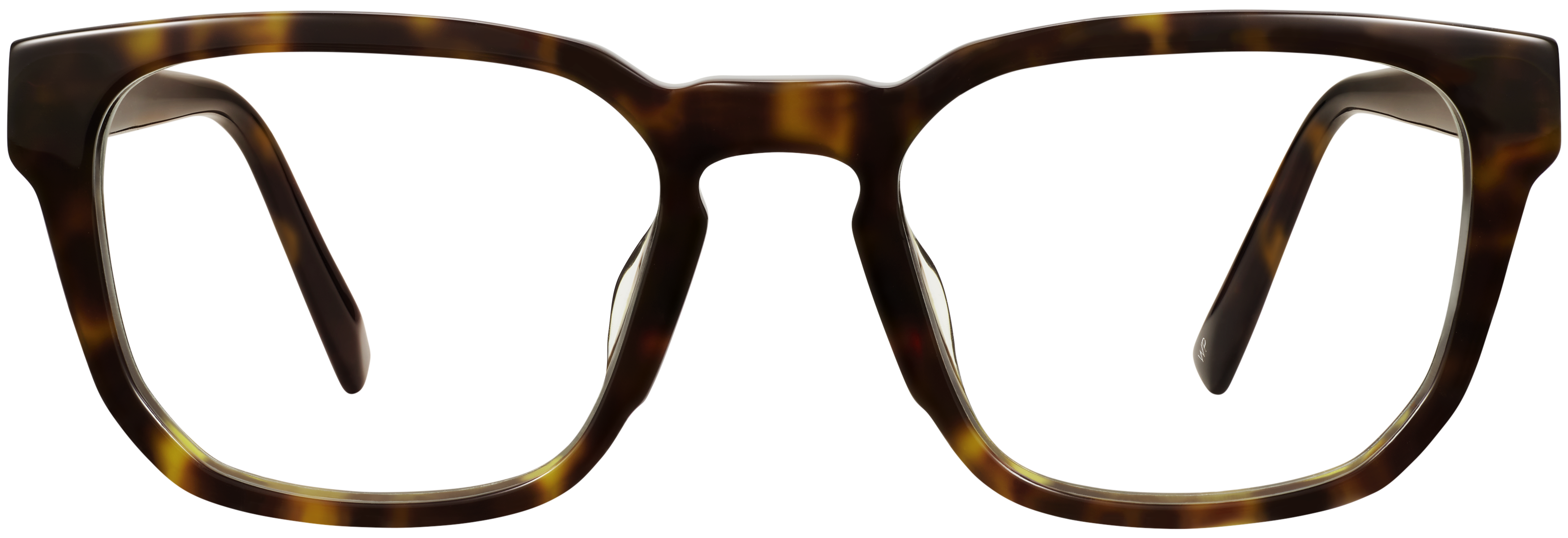 Dominic Ristretto Tortoise, baseTransparent view