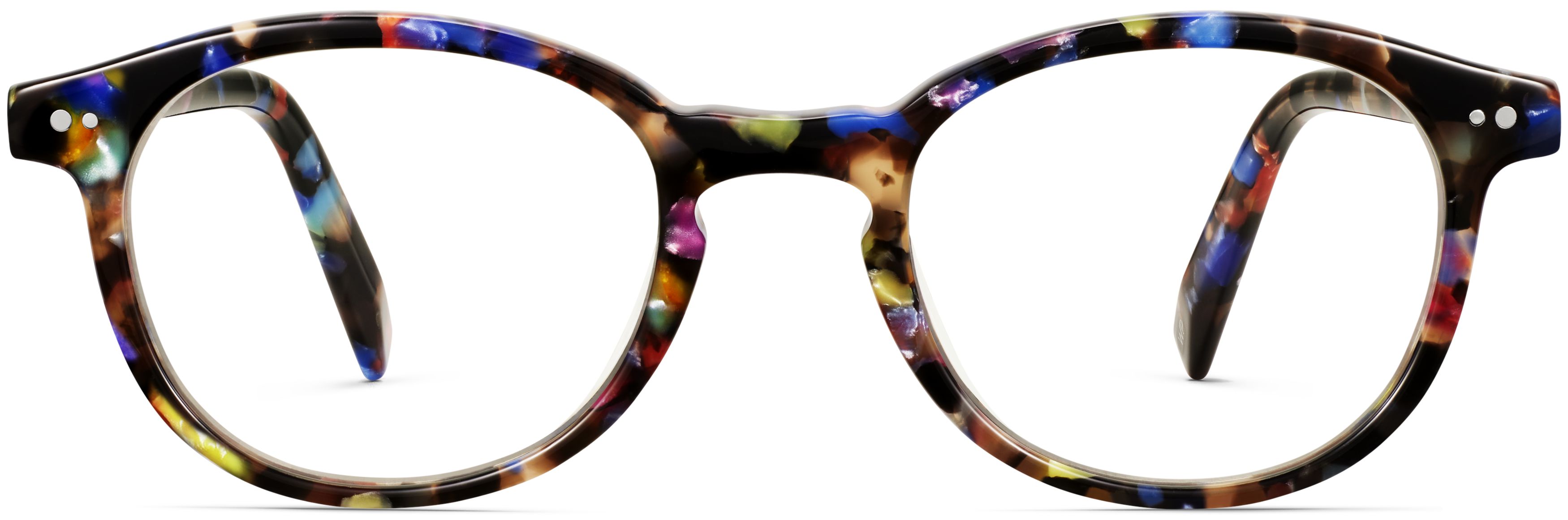 Anselm Confetti Tortoise, front view