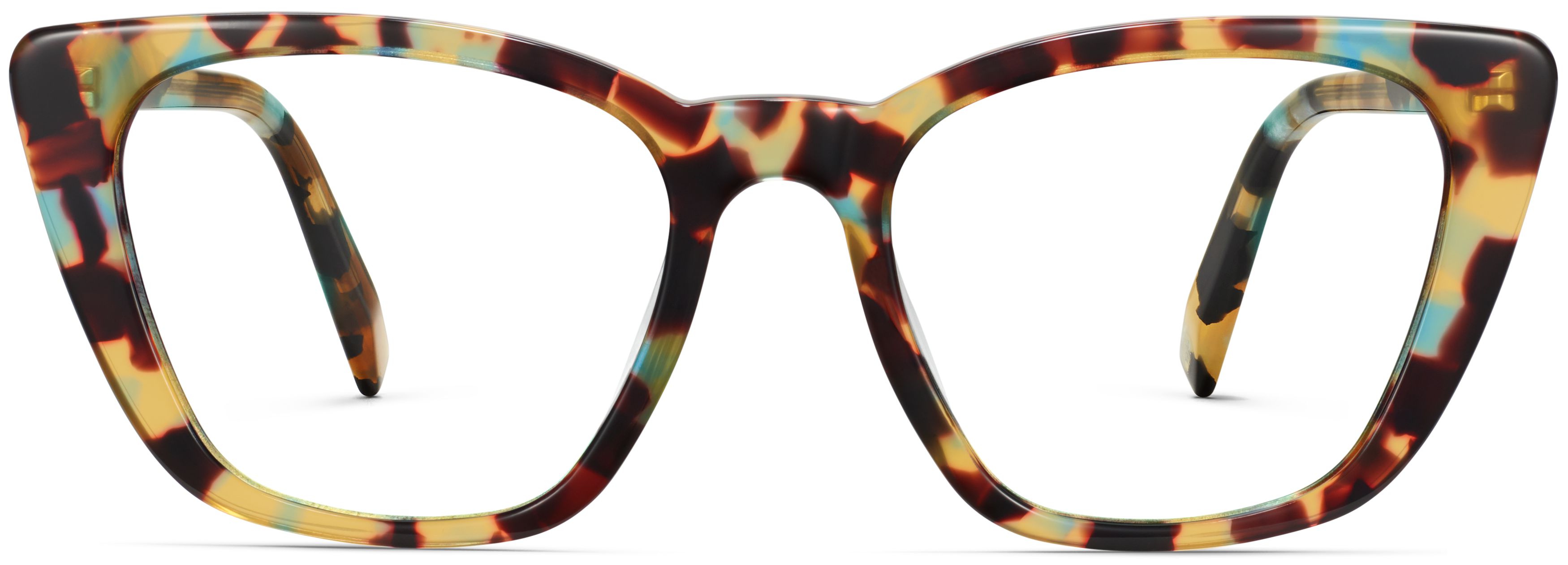 Janelle Seashore Tortoise, front view
