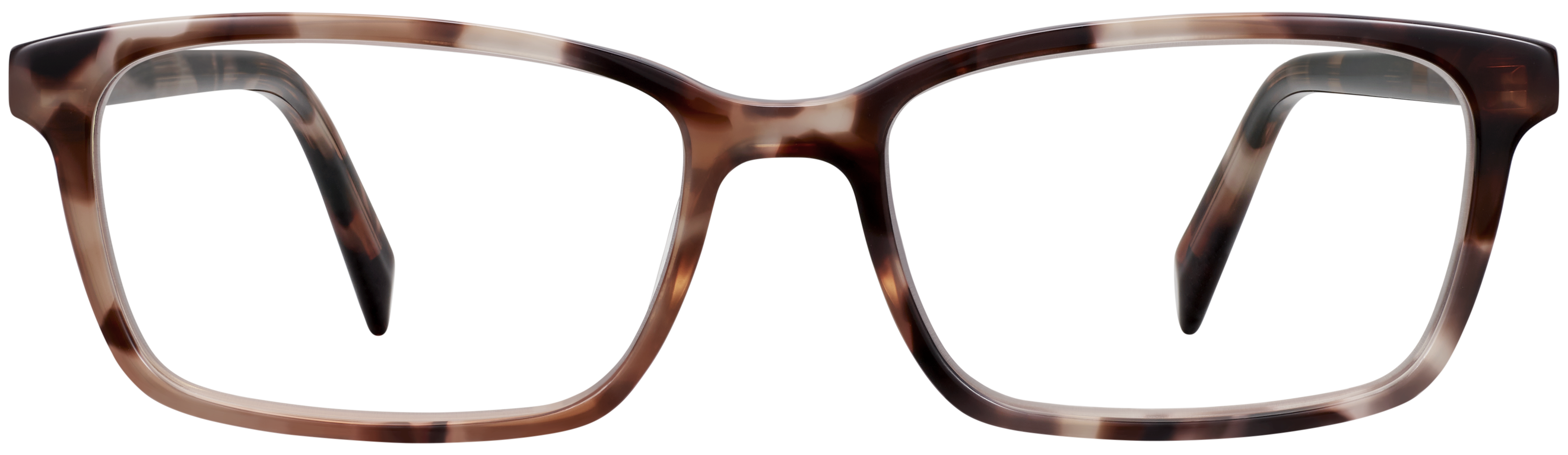 Rubin Sesame Tortoise, baseTransparent view