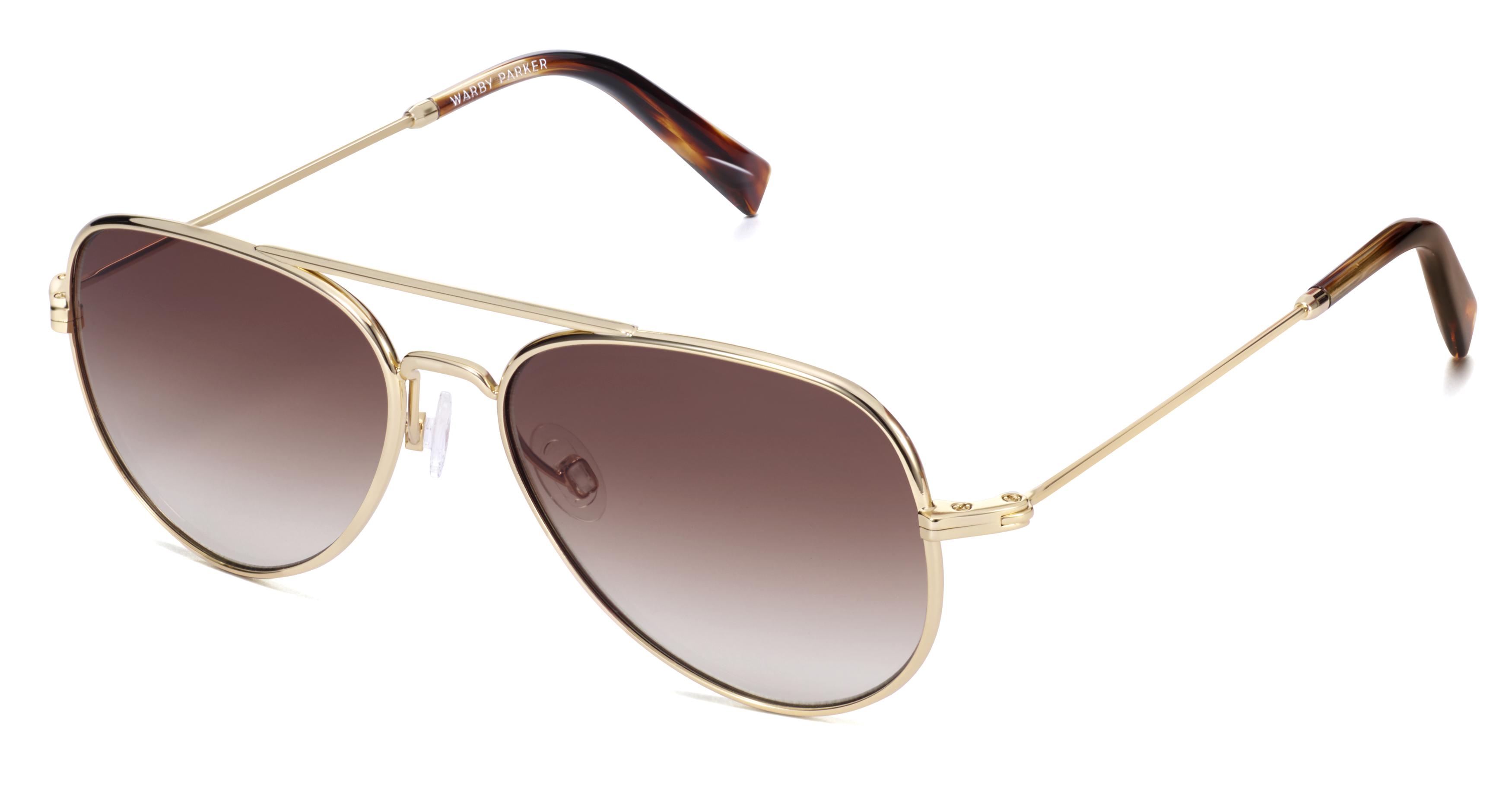 Warby sales parker aviator