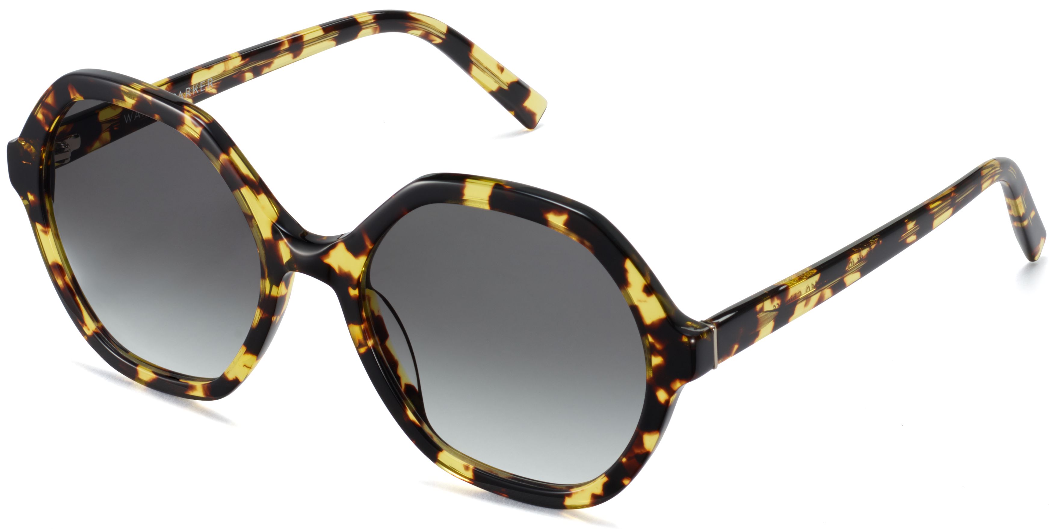 Rachel in Mesquite Tortoise, image 1
