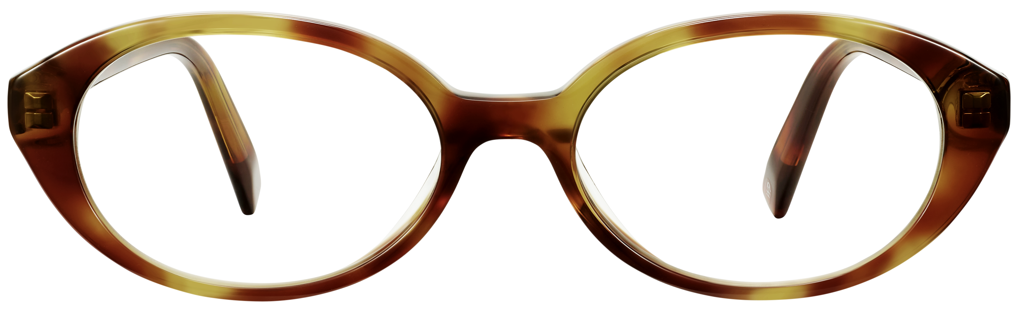 Franny Toffee Tortoise, baseTransparent view