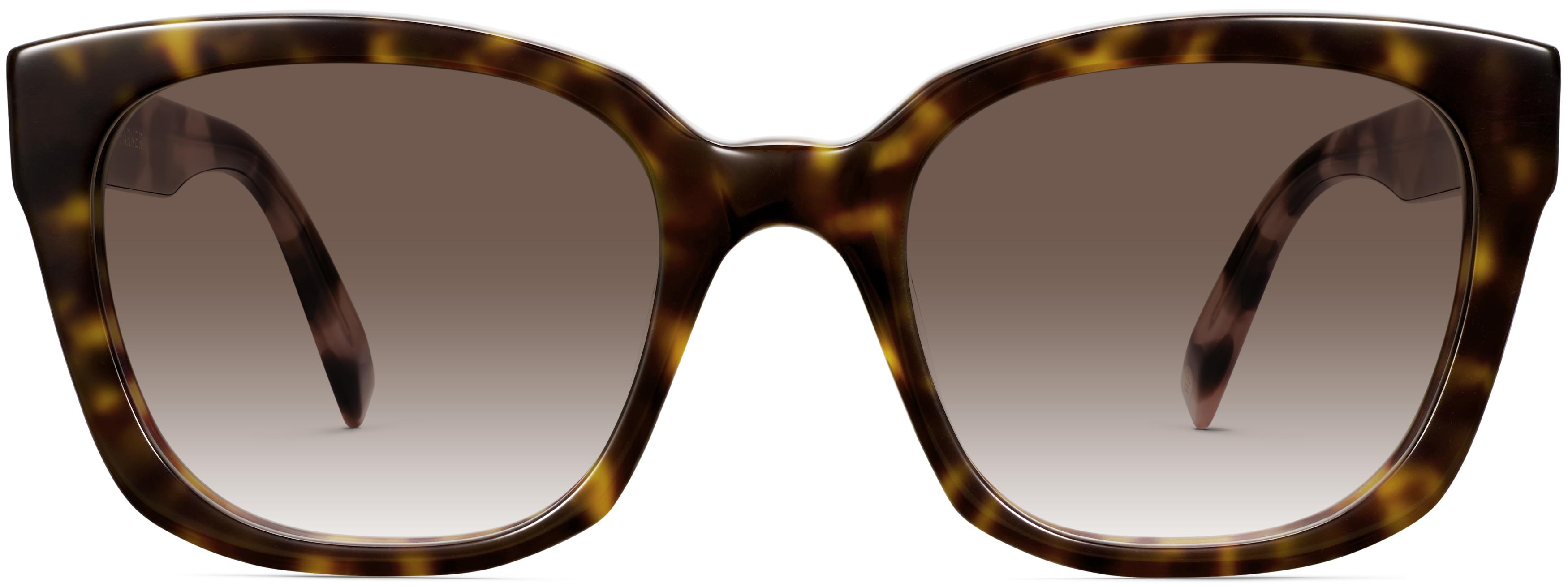 Aubrey Ristretto Tortoise with Pineberry Tortoise, front view