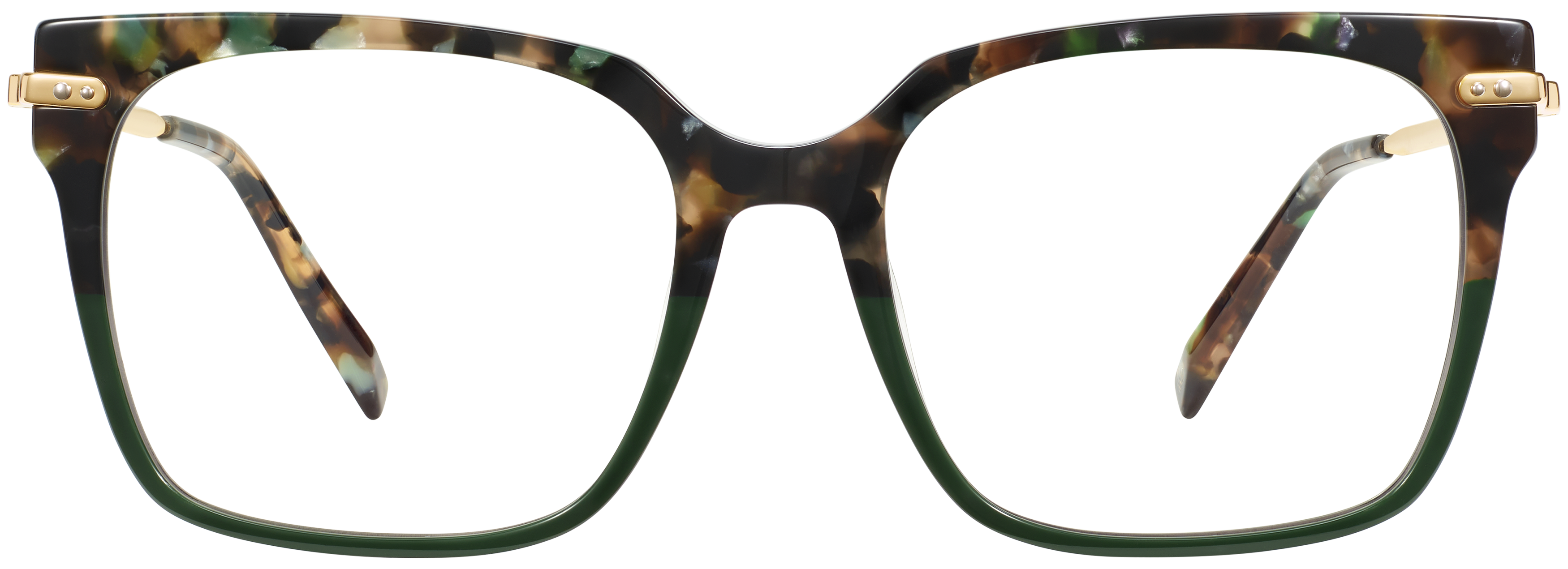 Vela Aventurine Tortoise with Polished Gold, baseTransparent view