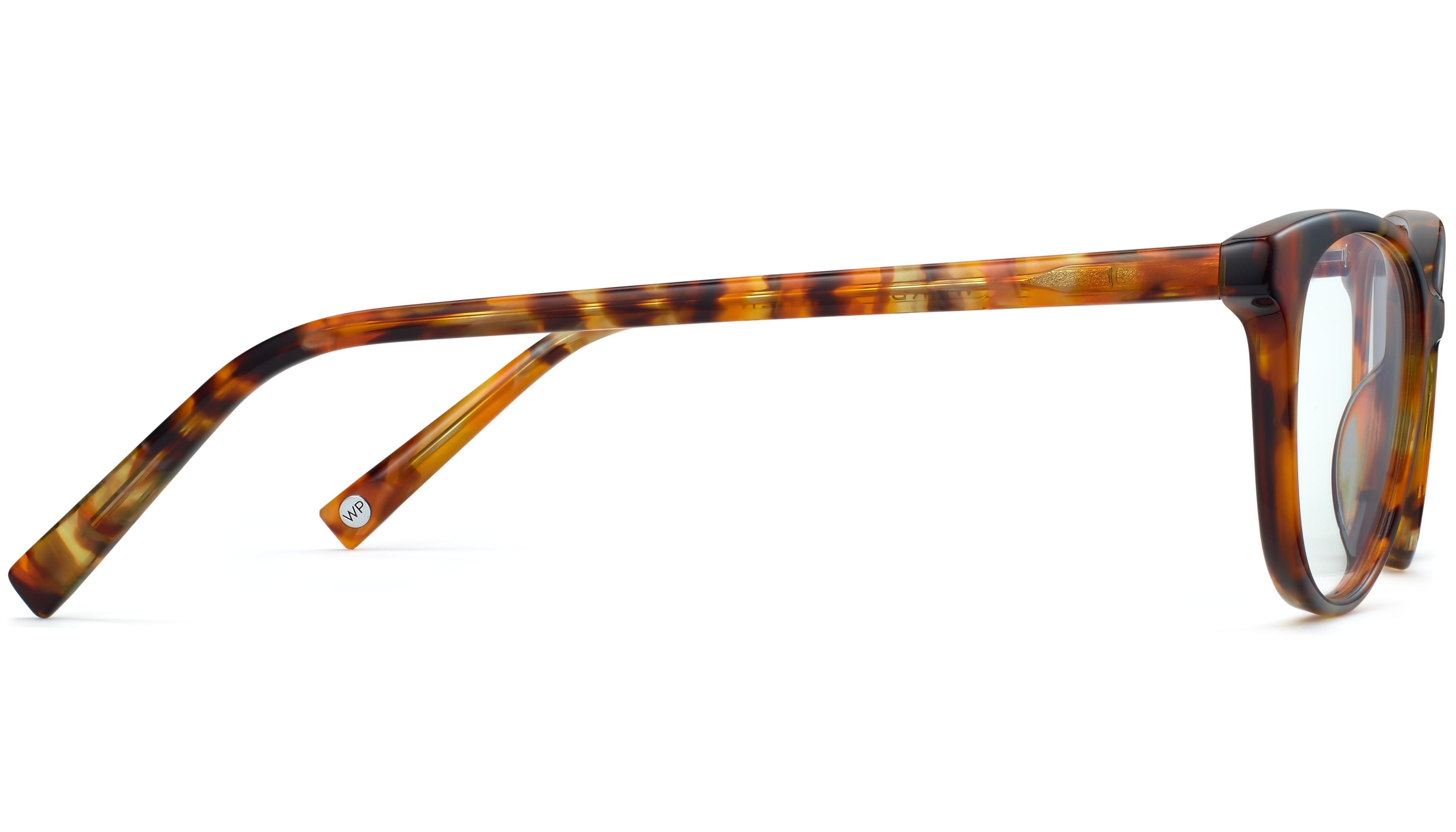 Warby parker store tortoise shell sunglasses