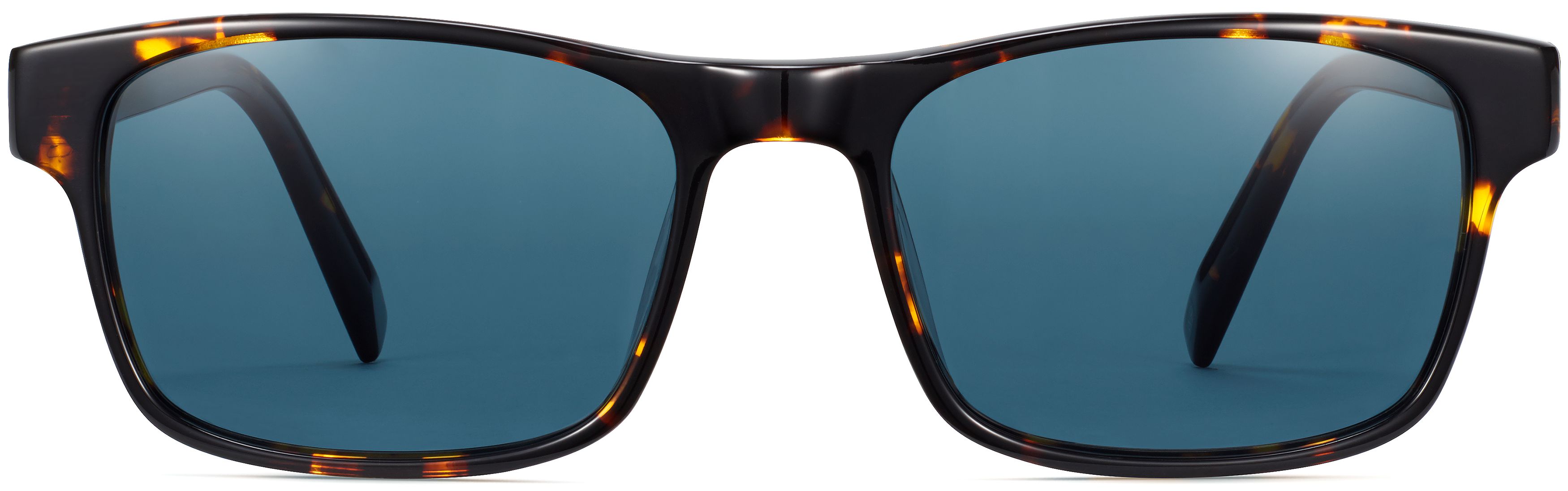Perkins Burnt Honeycomb Tortoise, front view