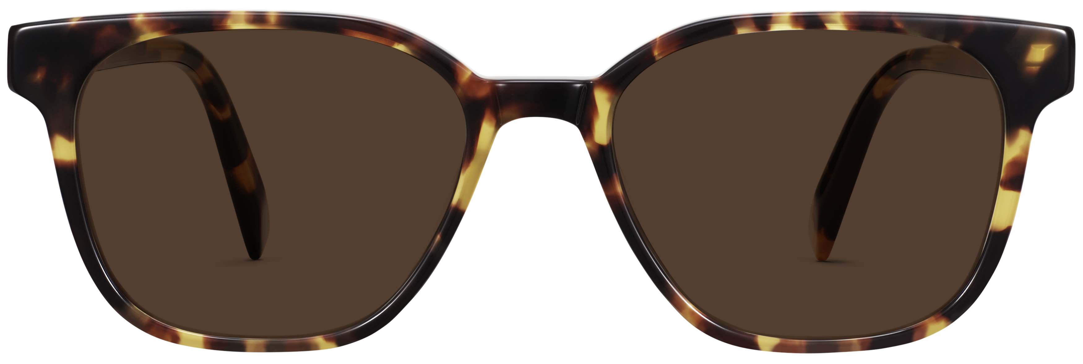 Bronte Tamarind Tortoise, baseTransparent view