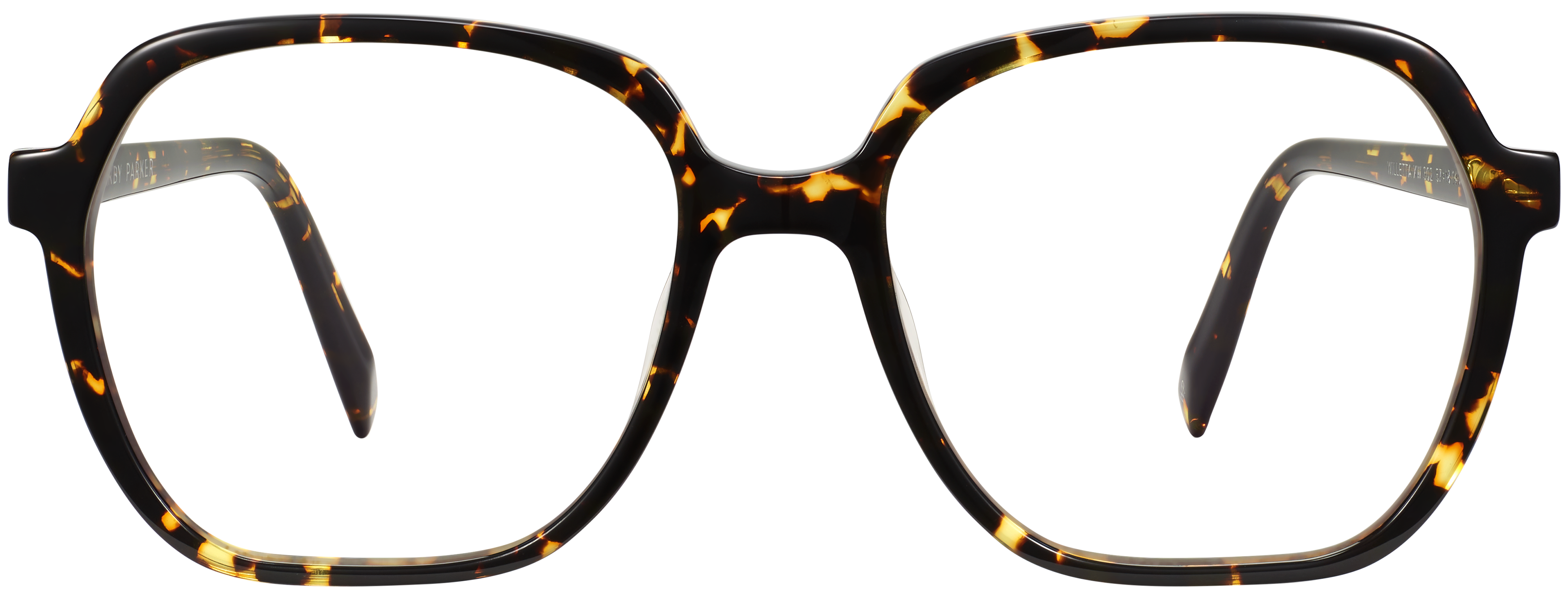 Willetta Black Oak Tortoise, baseTransparent view