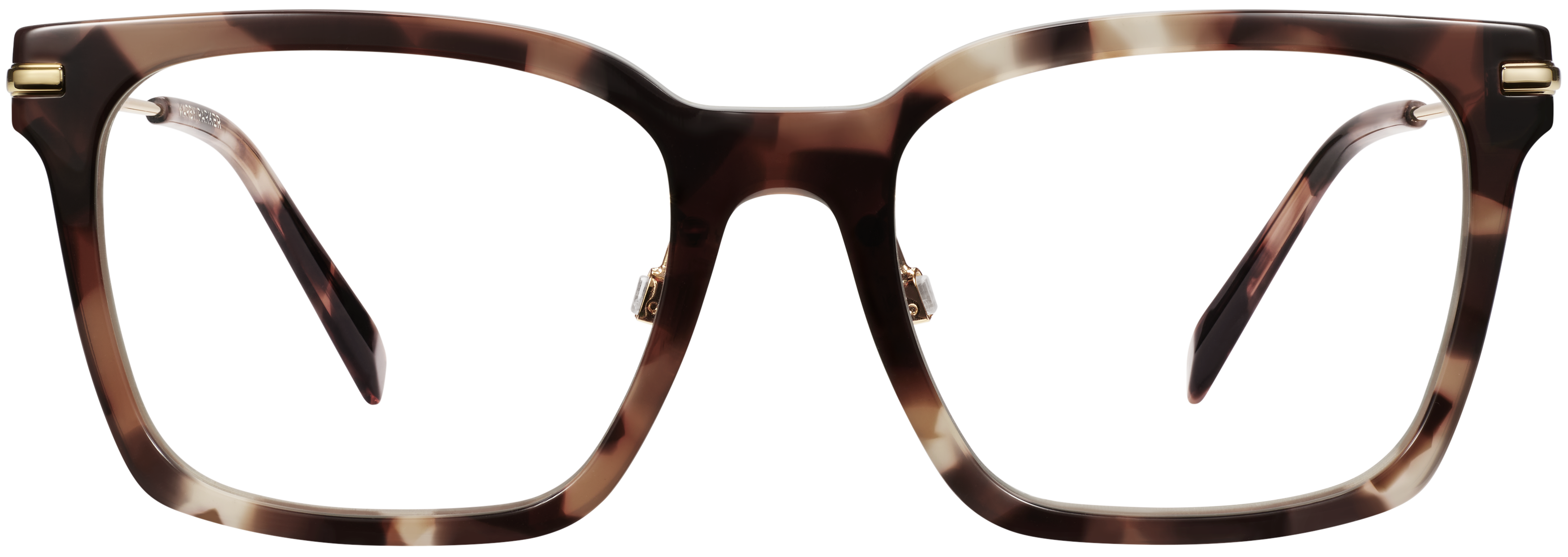Melva Sesame Tortoise with Polished Gold, baseTransparent view