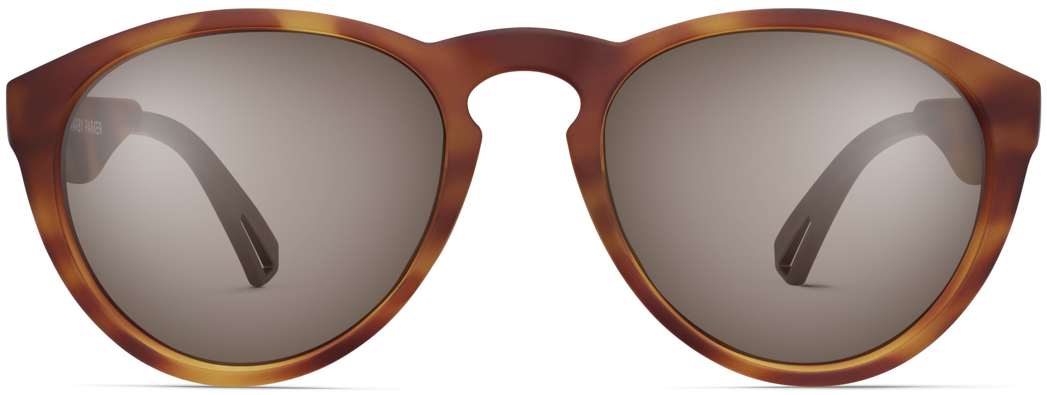 River Sapwood Tortoise, front view