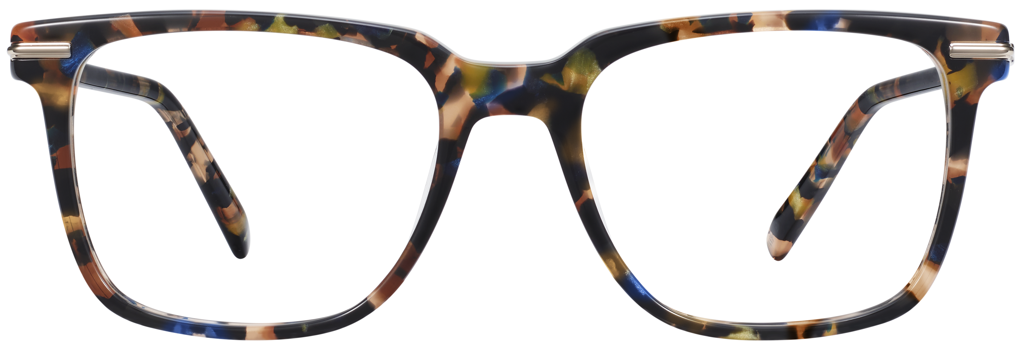 Chamberlain Amalfi Tortoise with Riesling, baseTransparent view