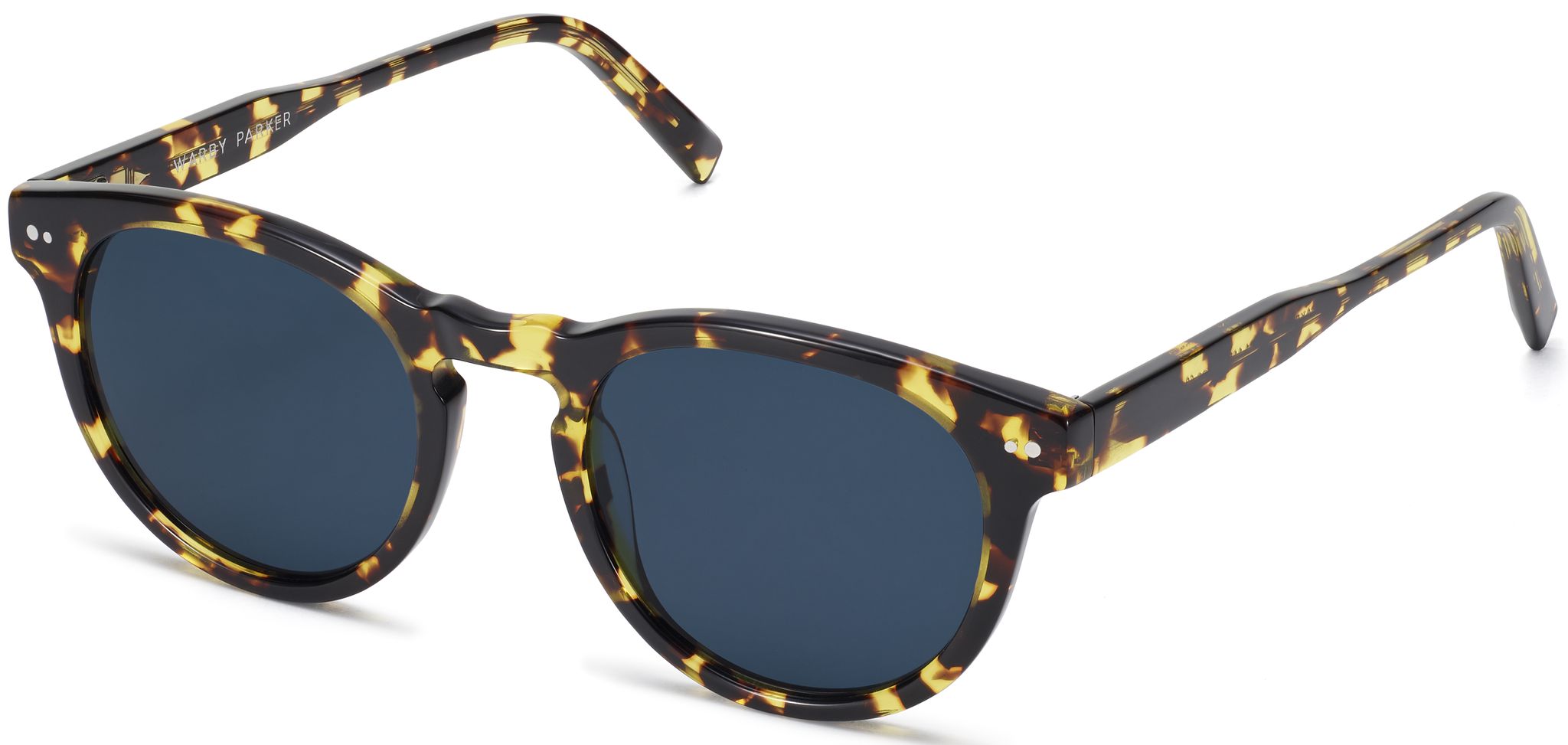 Hayes in Mesquite Tortoise, image 1