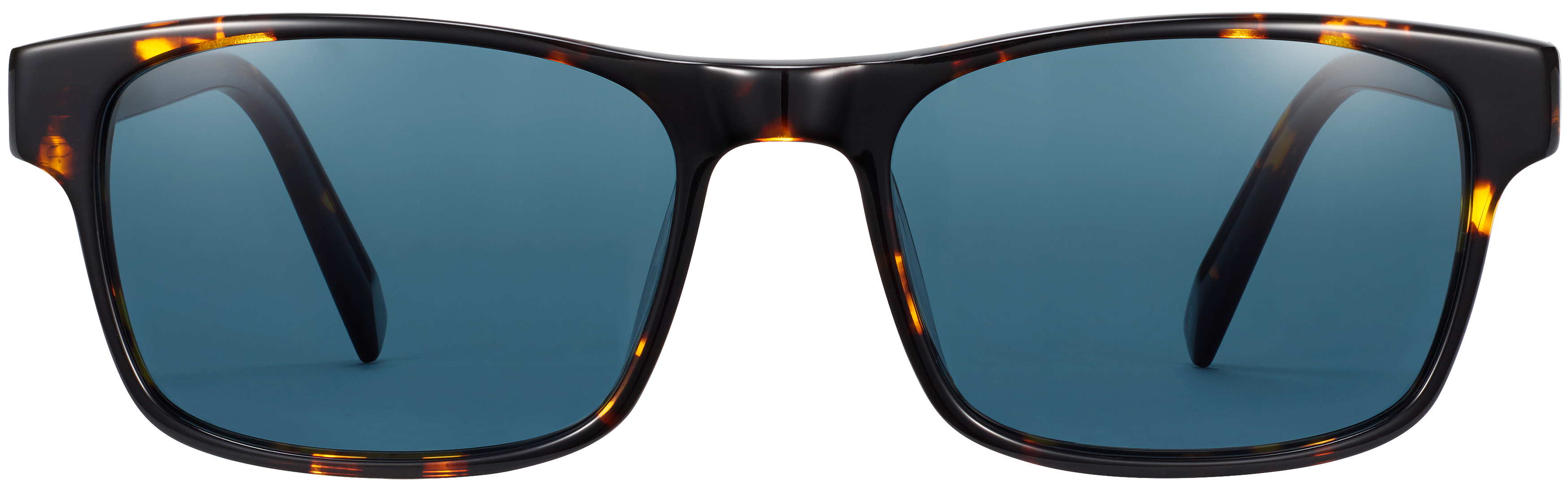 Perkins Burnt Honeycomb Tortoise, baseTransparent view