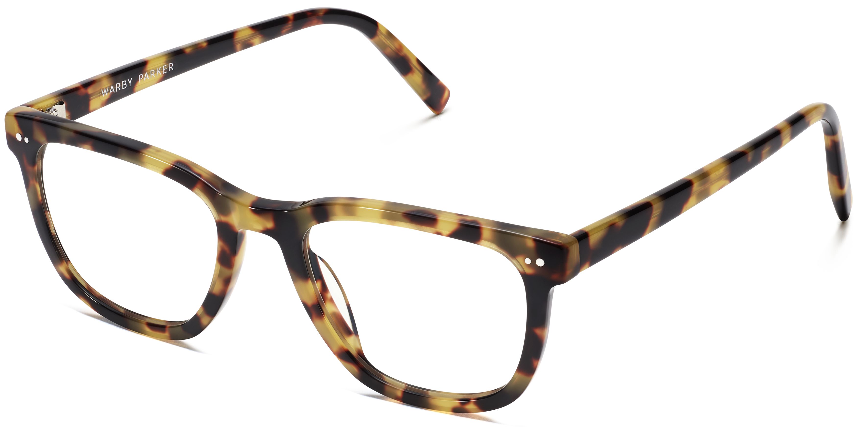 Toni in Cider Tortoise, image 1