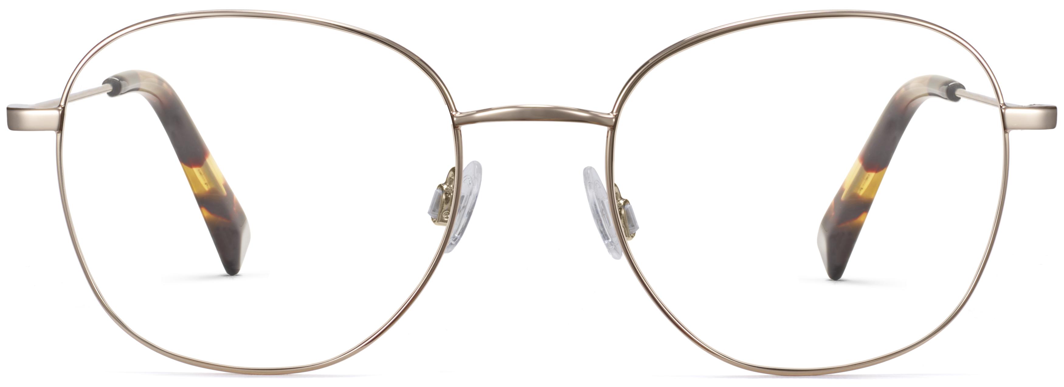 warby parker cyrus sunglasses