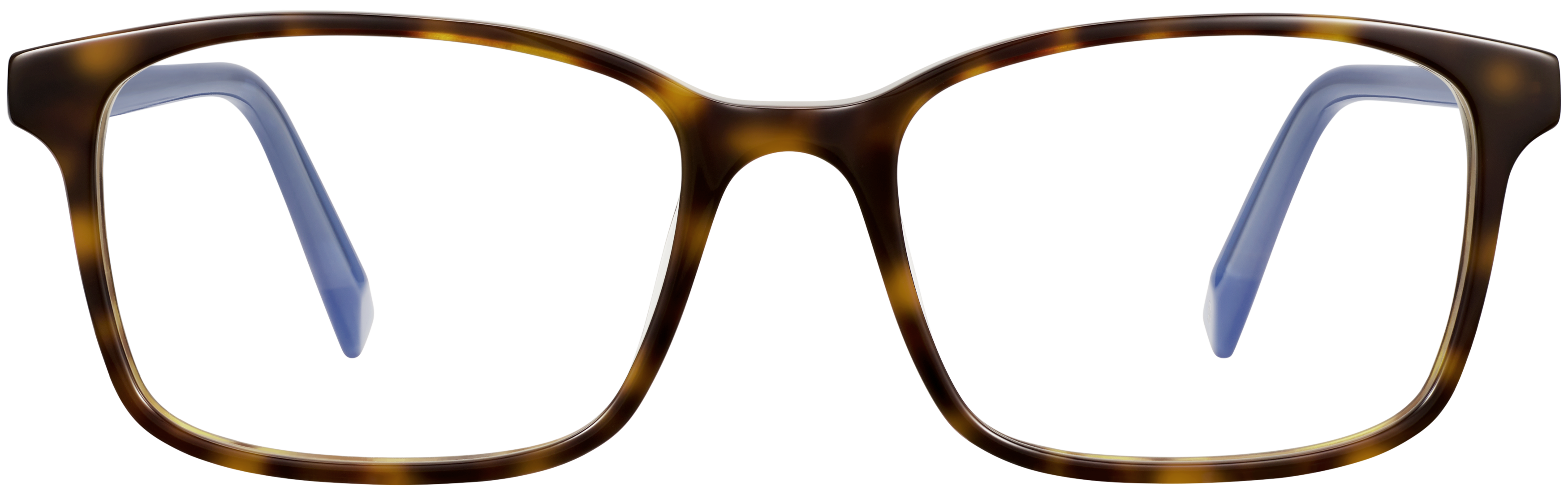 Brady Ristretto Tortoise with French Blue, baseTransparent view
