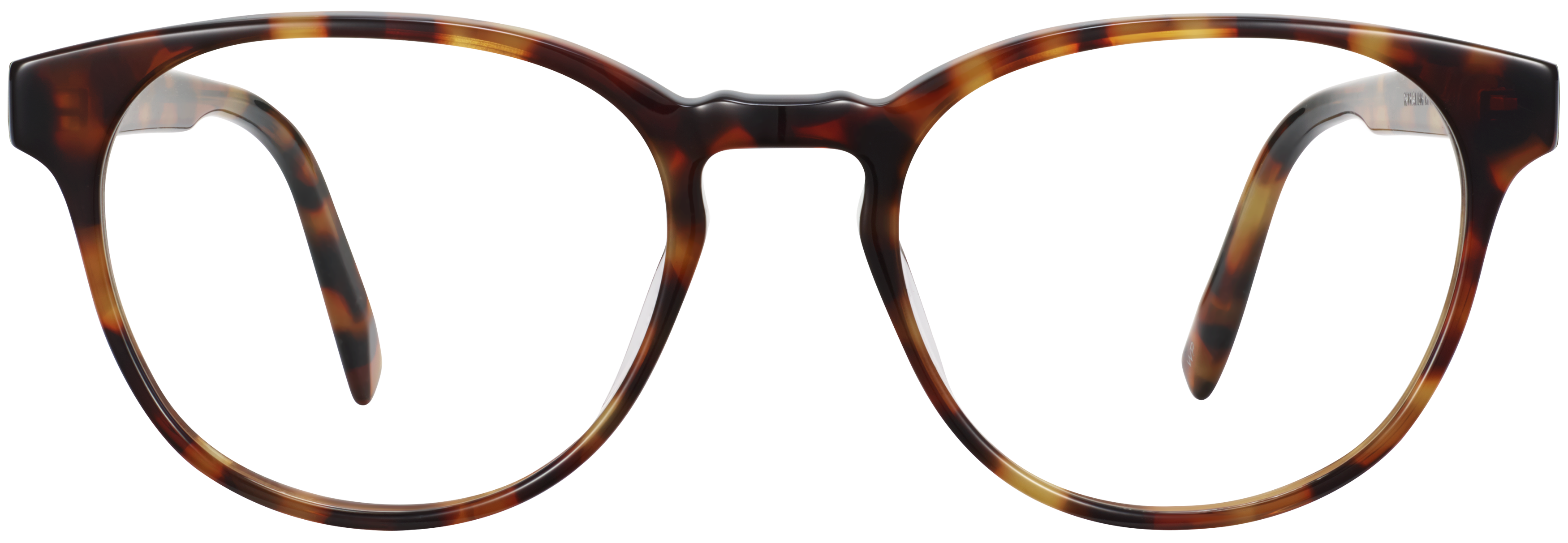 Whalen Acorn Tortoise, baseTransparent view