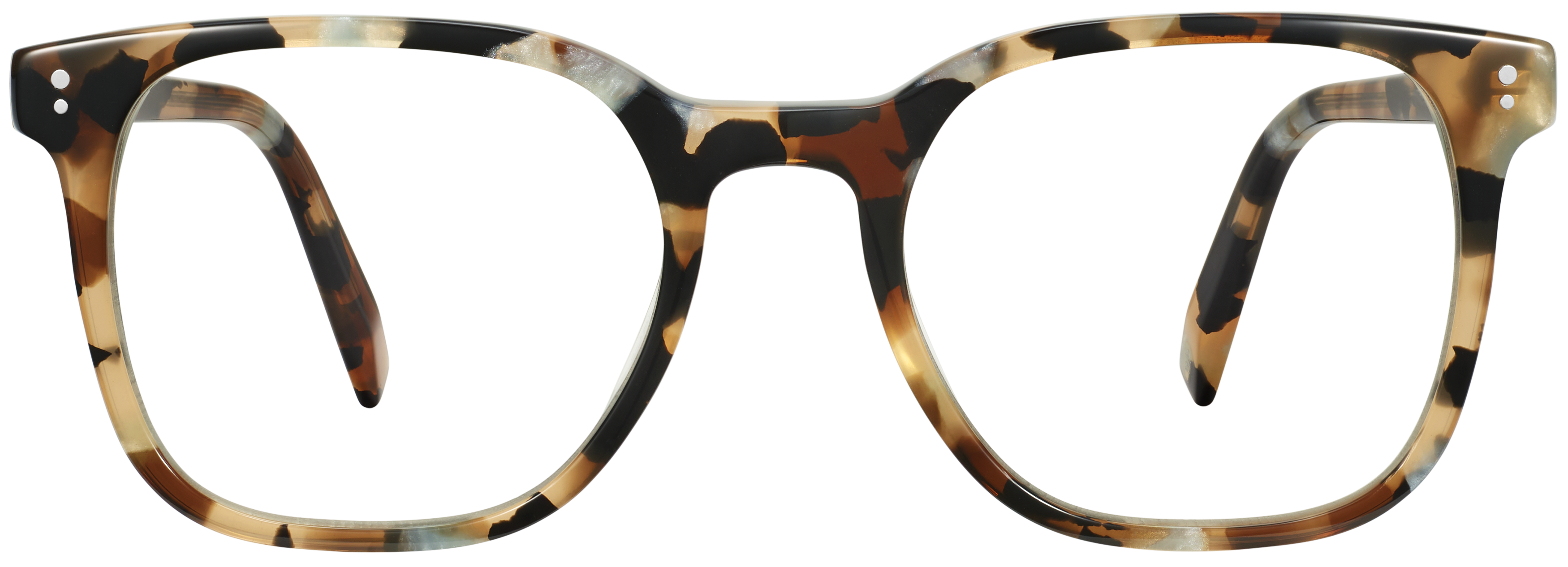 Rosie Terrazzo Tortoise, baseTransparent view